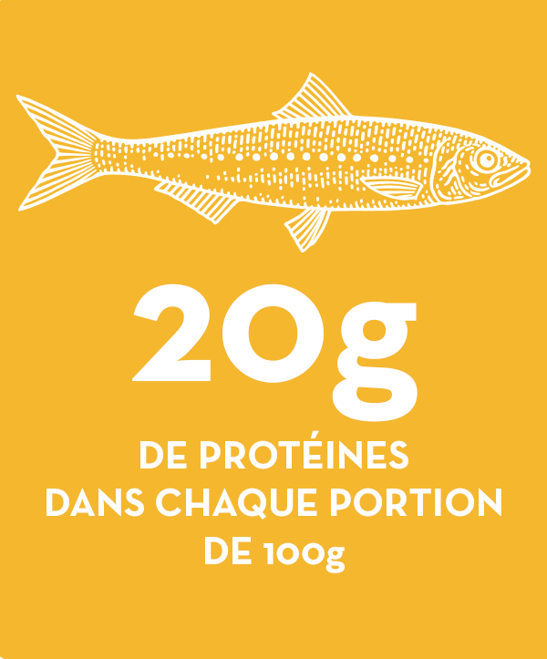 Une bombe de protéines de qualité
