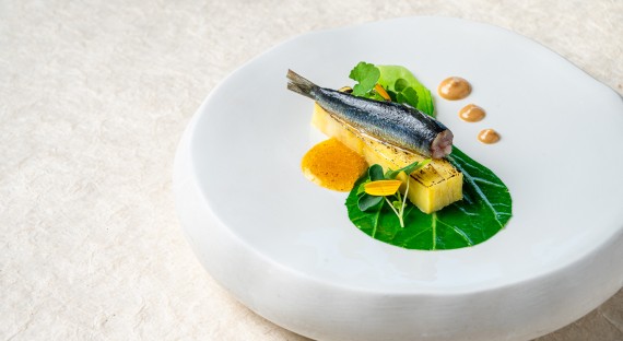 Sardines millésimées, feuille à feuille de pomme de terre, curry, thaï, praliné cacahuètes du chef Jean-Marc Perochon