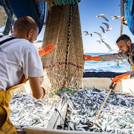 Soutenir la vie du territoire